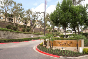 Front entrance drive near The Terraces sign with trees going uphill, and sidewalks