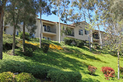 Uphill view of grass, trees, and exterior of building