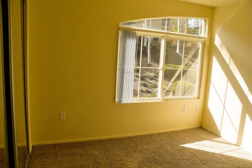 Sunny carpeted bedroom with large window and angled half arch window directly above main window
